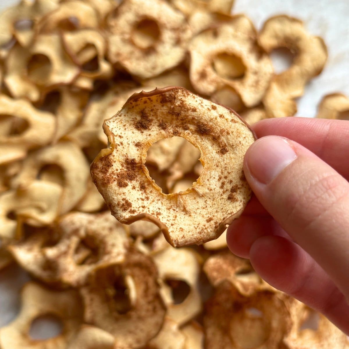 baked apple chips recipe - Article 2